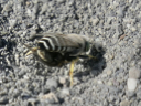 P1520312