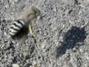 P1520316